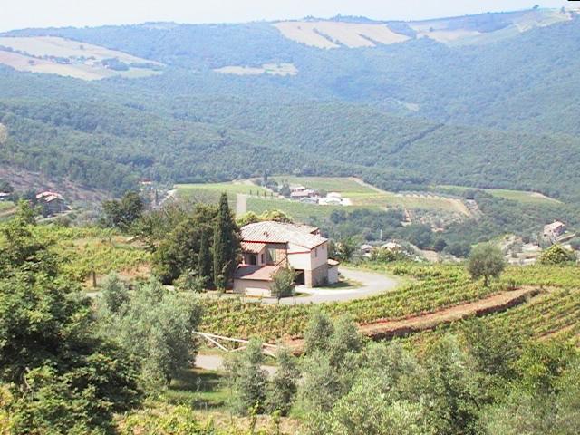 Podere Soccorso Villa Montalcino Eksteriør bilde